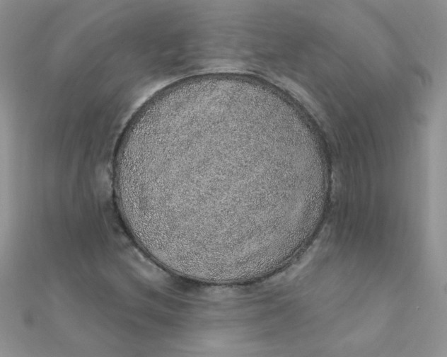 X0000112381212200909031945