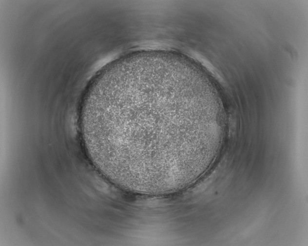 X0000112381213200909031945