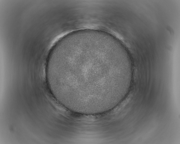 X0000112381214200909031945