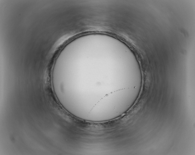 X0000112381215200909031945