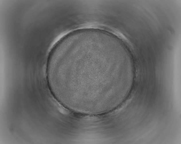 X0000112381216200909031945