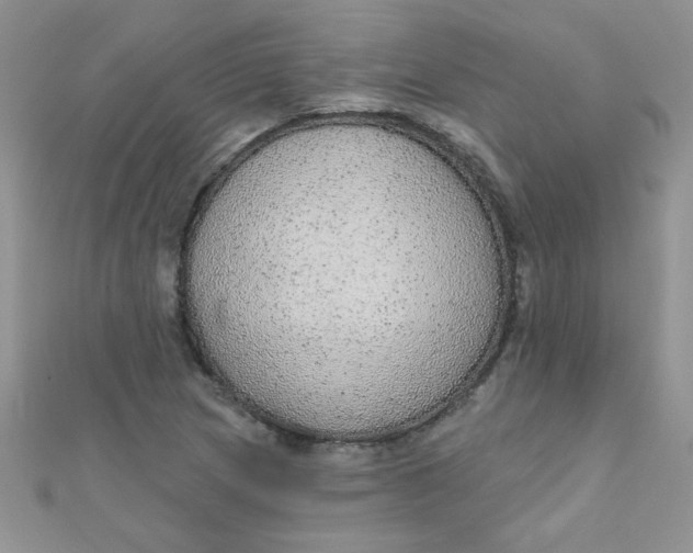 X0000112381217200909031945