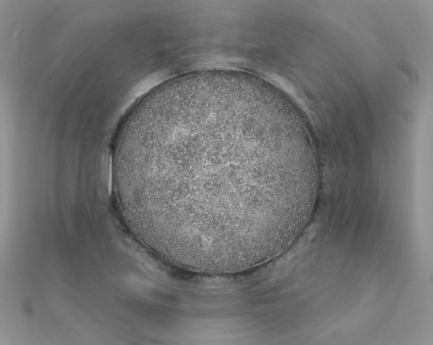 X0000112381219200909031945