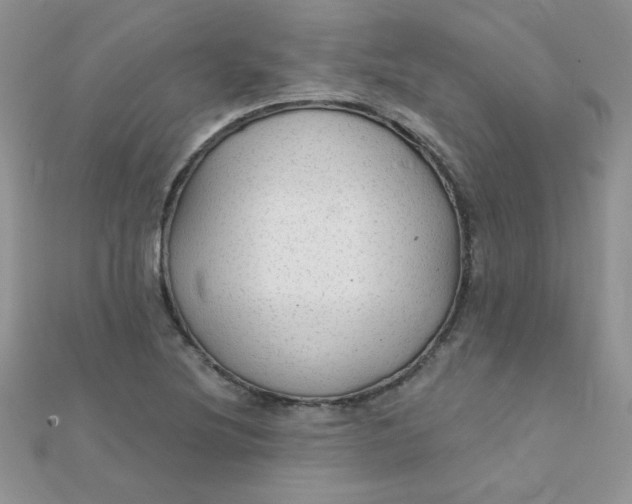 X0000112381220200909031945