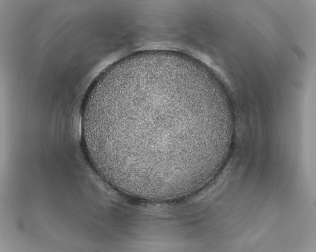 X0000112381221200909031945