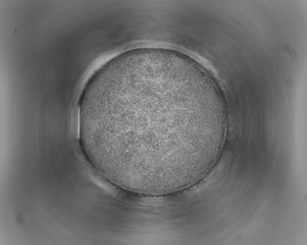 X0000112381223200909031945