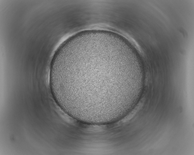 X0000112381224200909031945