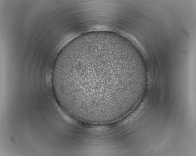 X0000112381225200909031945