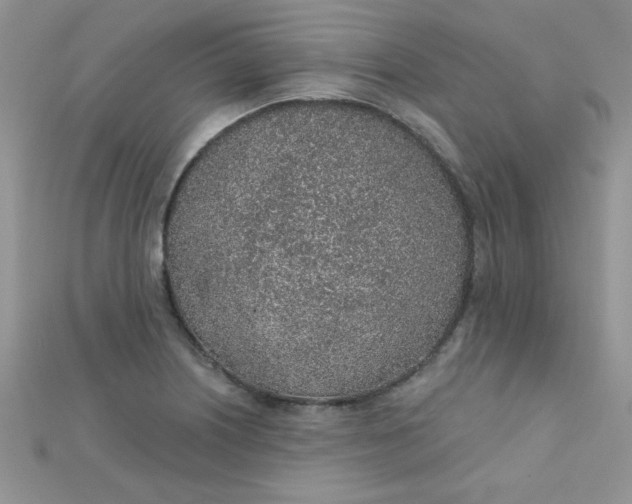 X0000112381226200909031945