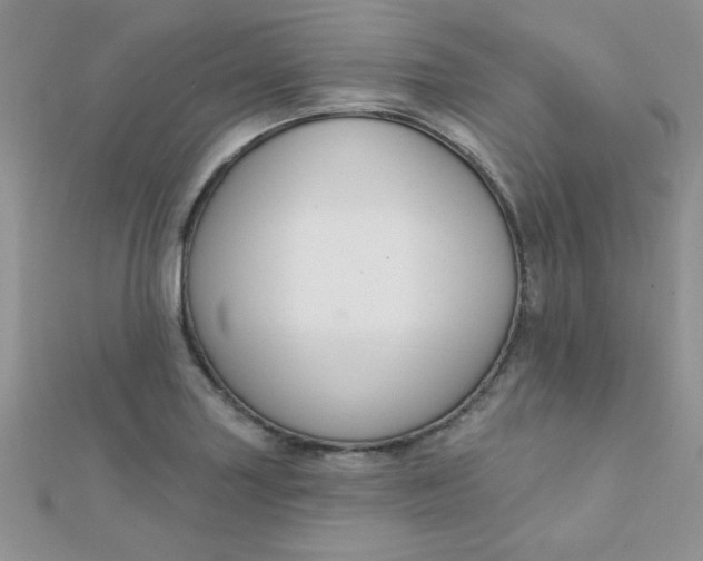 X0000112381227200909031945