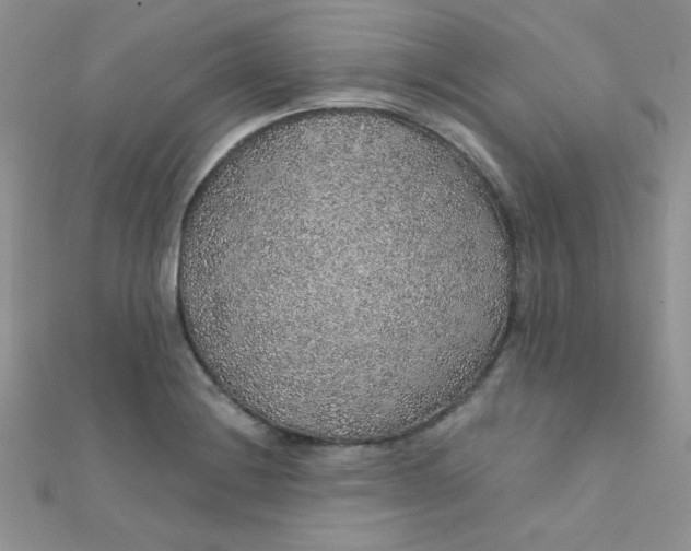 X0000112381228200909031945