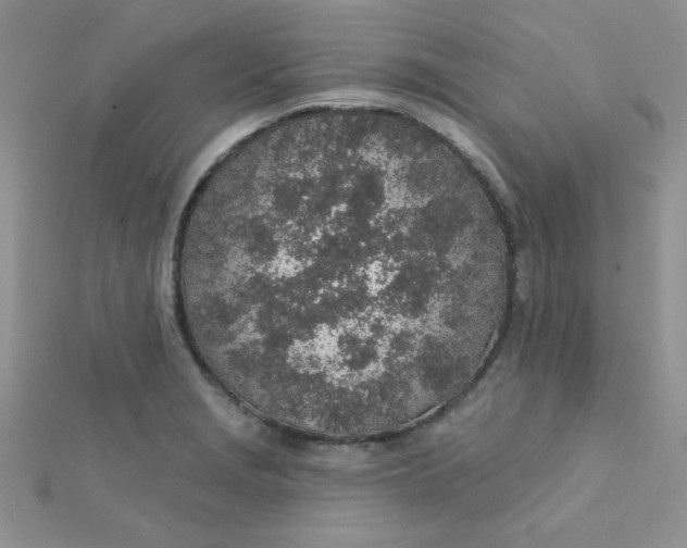 X0000112381229200909031945