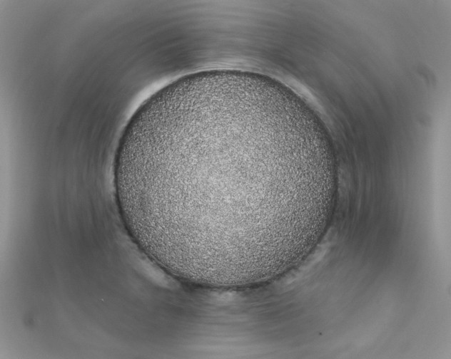 X0000112381230200909031945