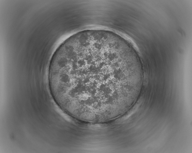 X0000112381231200909031945