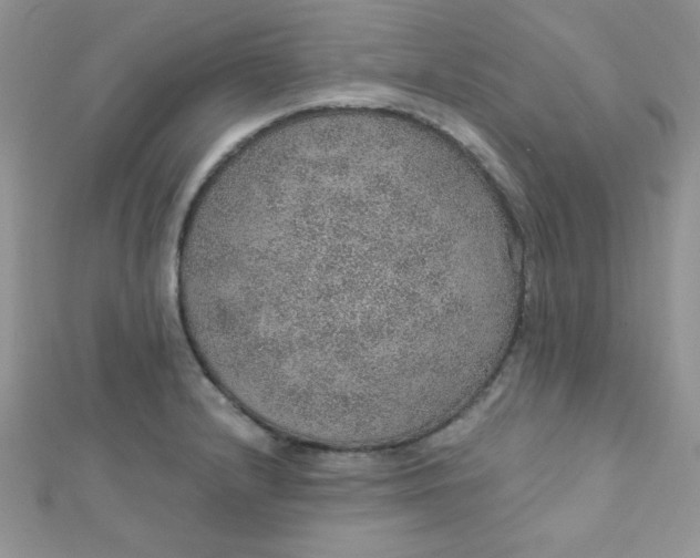 X0000112381232200909031945