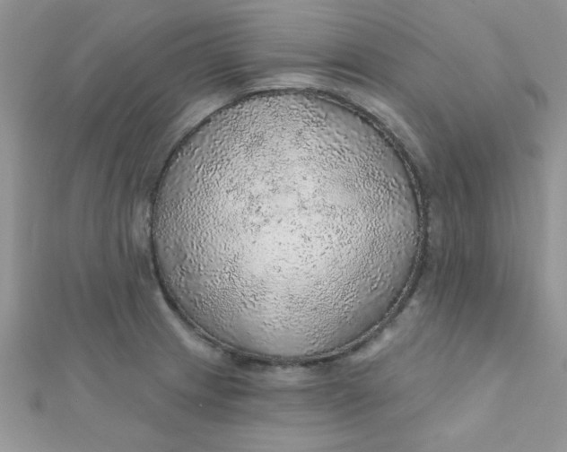 X0000112381233200909031945