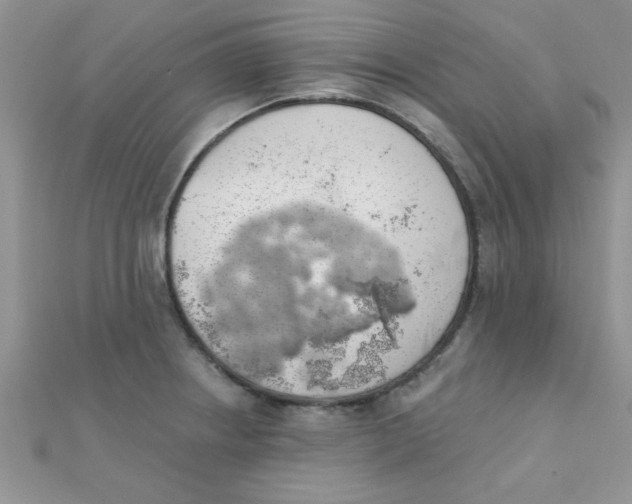 X0000112381234200909031945