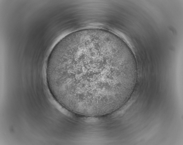 X0000112381235200909031945