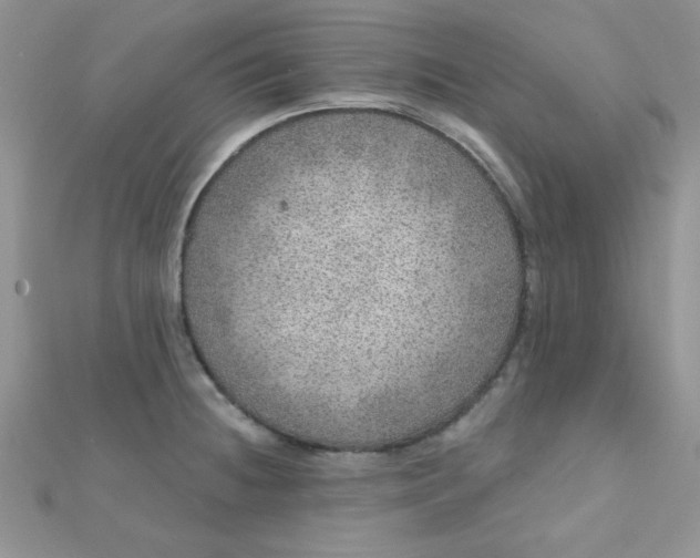 X0000112381236200909031945