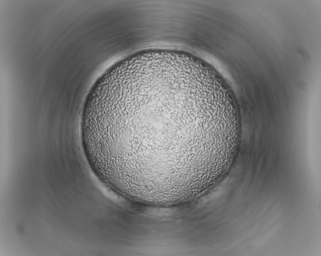 X0000112381237200909031945