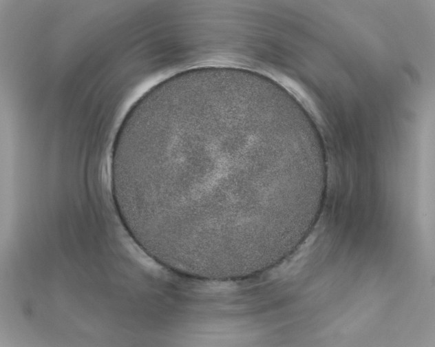 X0000112381238200909031945