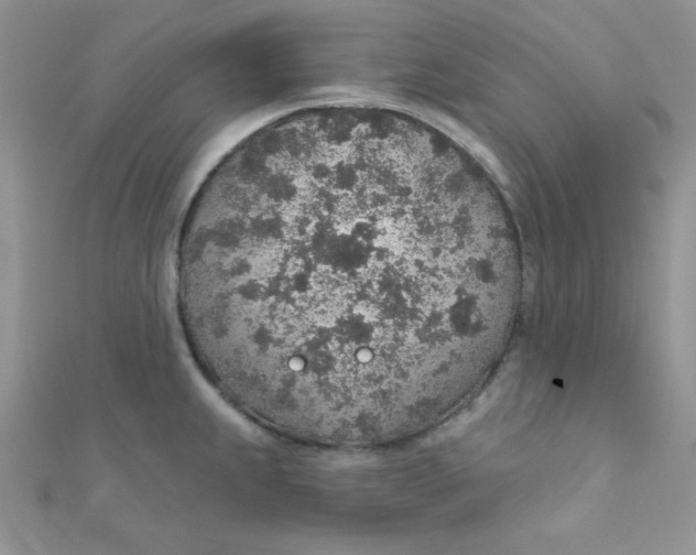 X0000112381239200909031945