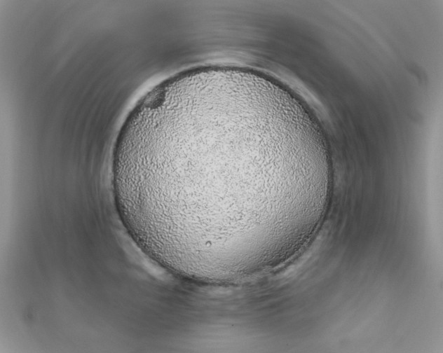 X0000112381240200909031945