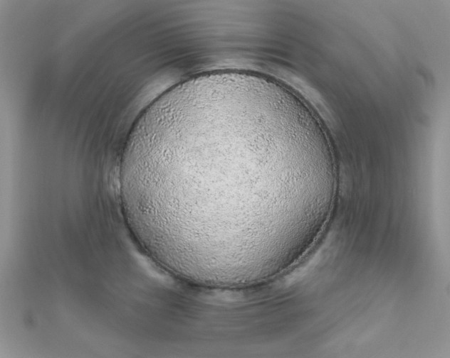 X0000112381241200909031945