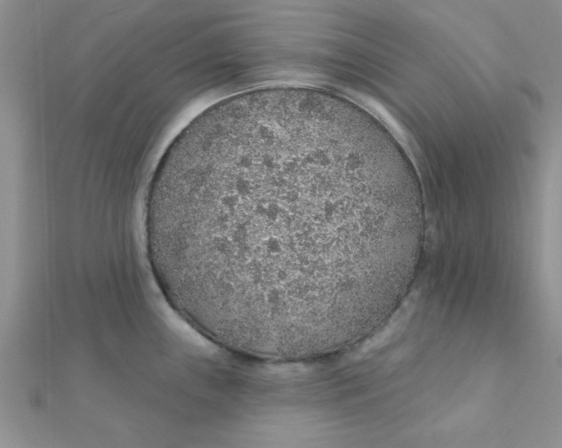 X0000112381243200909031945