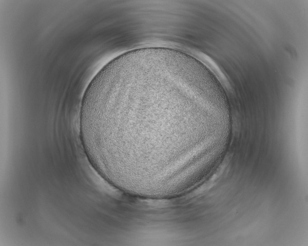 X0000112381244200909031945