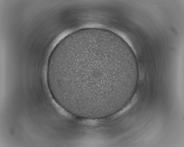 X0000112381245200909031946