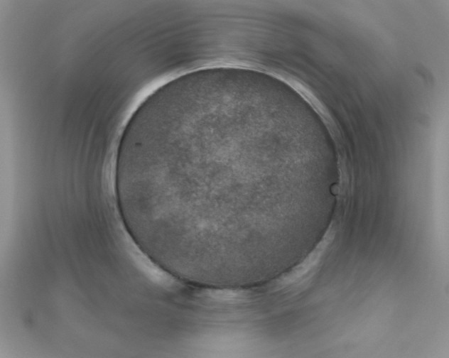 X0000112381246200909031946