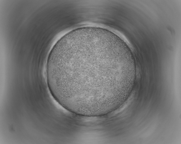 X0000112381247200909031946