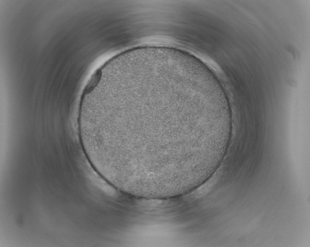 X0000112381248200909031946