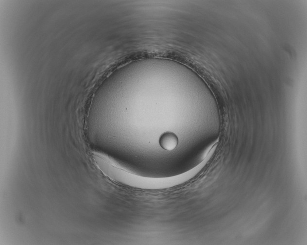 X0000112381249200909031945