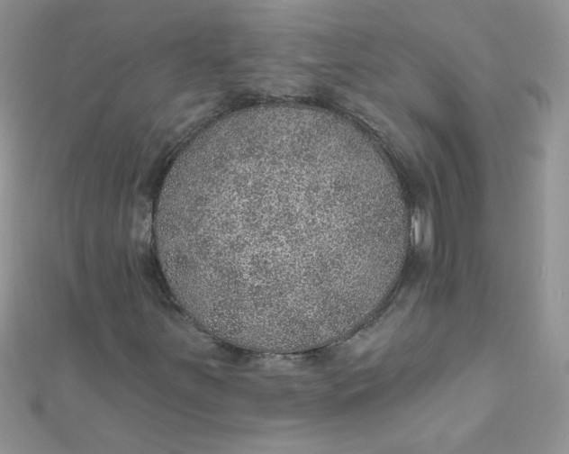 X0000112381251200909031945