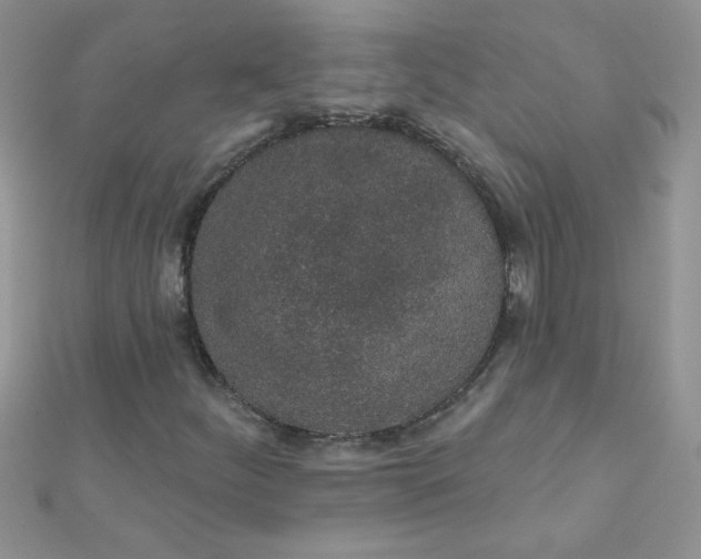 X0000112381252200909031945