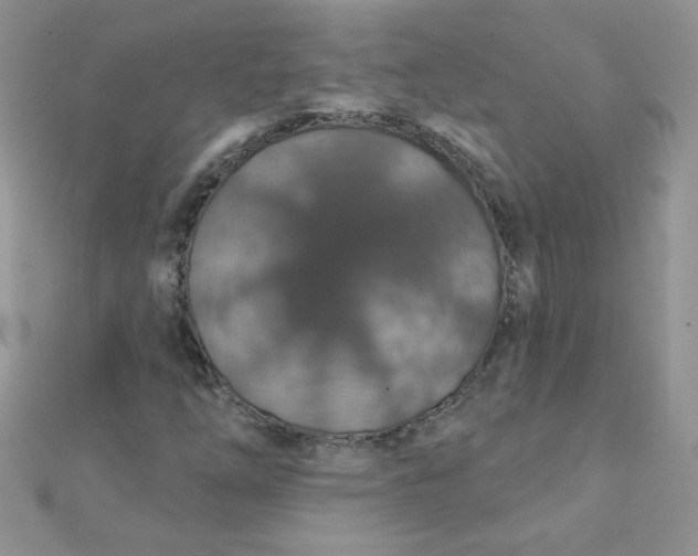 X0000112381254200909031945