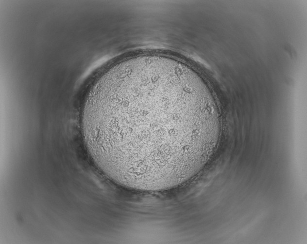 X0000112381255200909031945