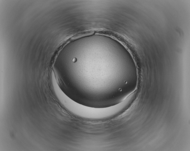 X0000112381257200909031945