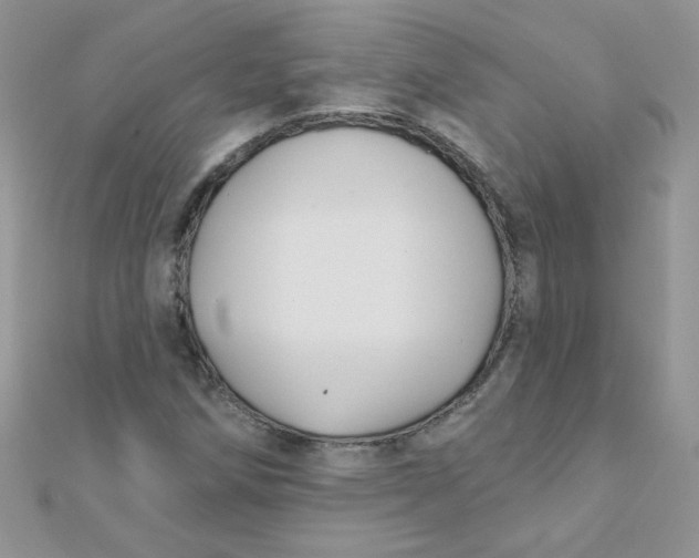 X0000112381258200909031945