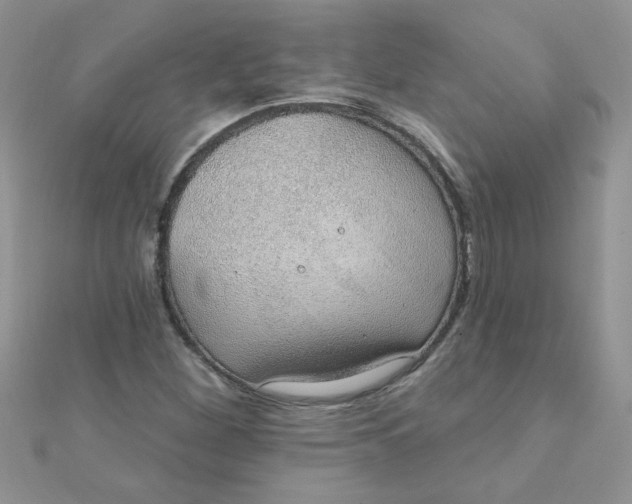 X0000112381260200909031945