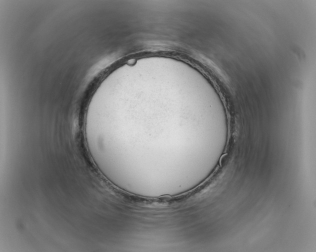 X0000112381261200909031945