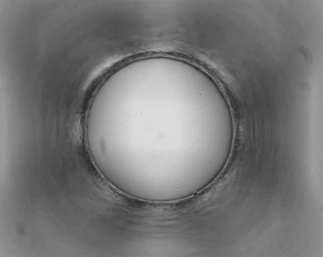 X0000112381262200909031945