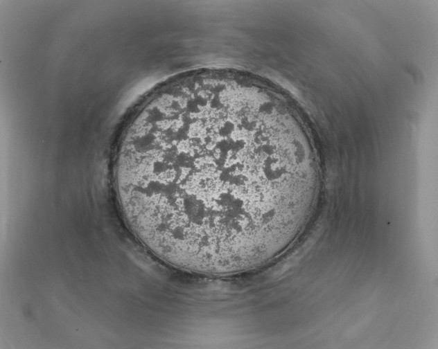 X0000112381263200909031945