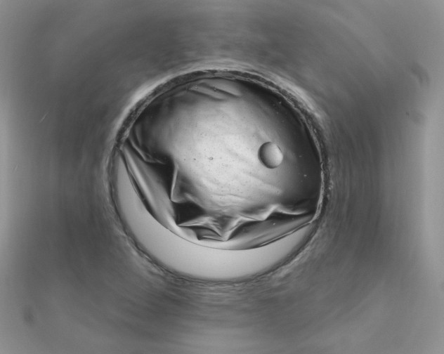 X0000112381264200909031945