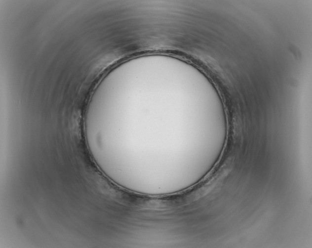 X0000112381265200909031945