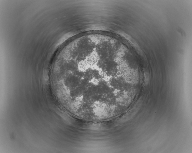 X0000112381266200909031945