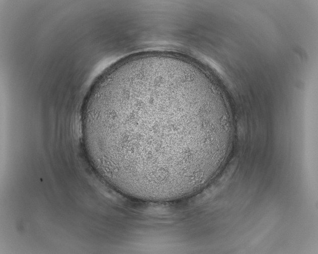 X0000112381267200909031945