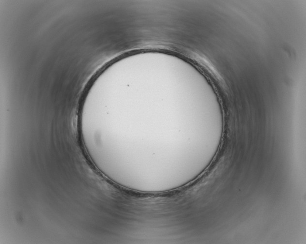 X0000112381268200909031945